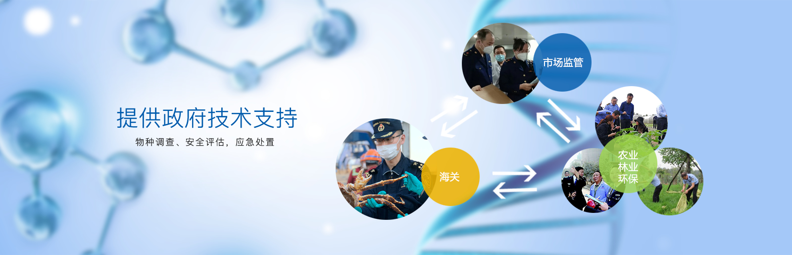 武汉加油！中国加油！